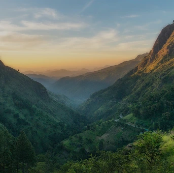 The Sri Lanka residency landscape