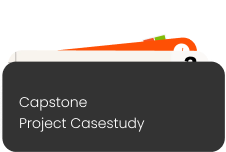 Industry Endorsed Capstone Project