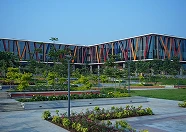 Campus Immersion