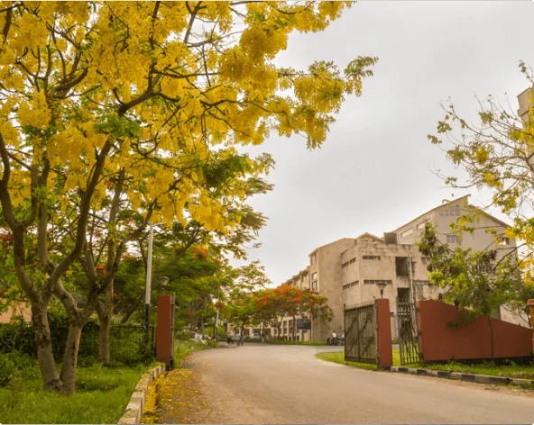 IIT Guwahati campus